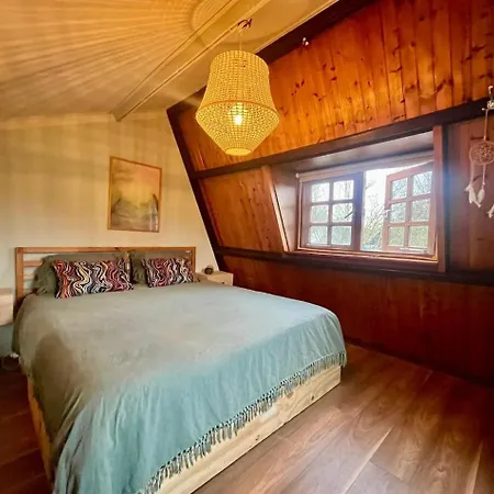 Forest Bubble Holiday home Ooltgensplaat