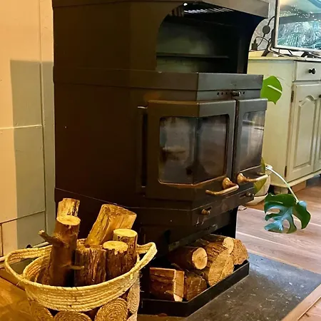 Holiday home Forest Bubble Ooltgensplaat